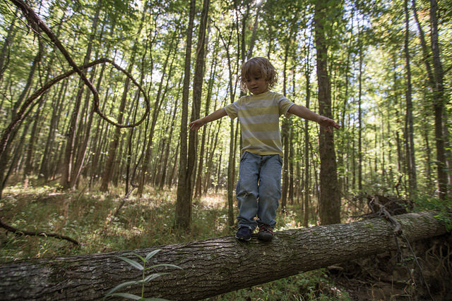 kid on log