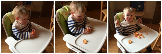 20 month old peels clementine!