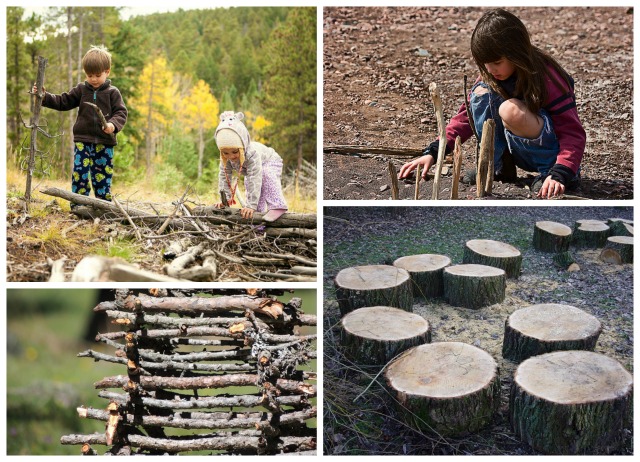 tree stumps logs sticks