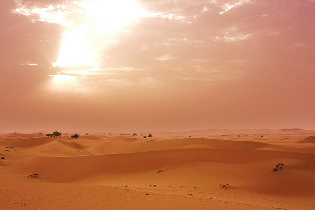 UAE desert sands