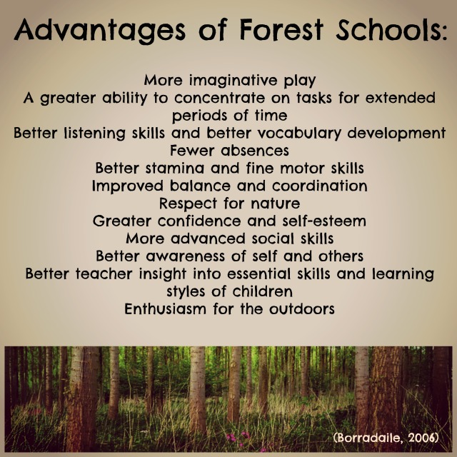 advantages of forest schools