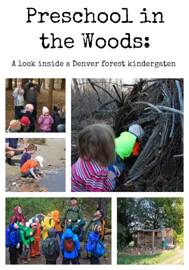 Preschool in the Woods: A look inside a Denver forest kindergarten