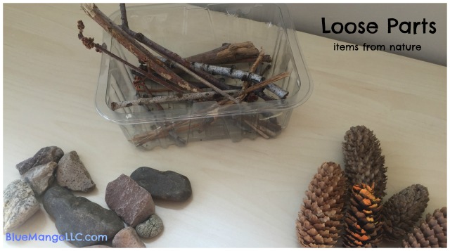 Collect loose parts from nature: rocks, sticks, pine cones, seashells, sea glass, acorns, bark (BlueMangoLLC.com)